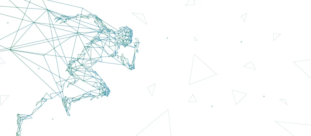 Designing Sports Analytics