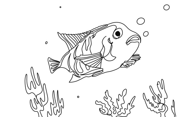 Line Art - Illustration Trends