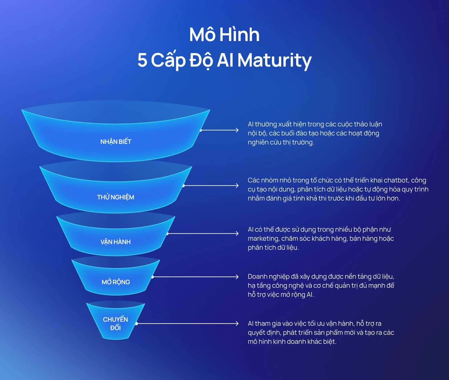 Mô Hình 5 Cấp Độ AI Maturity