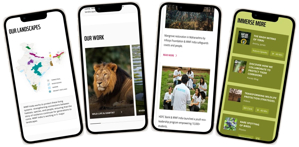 mobile responsive