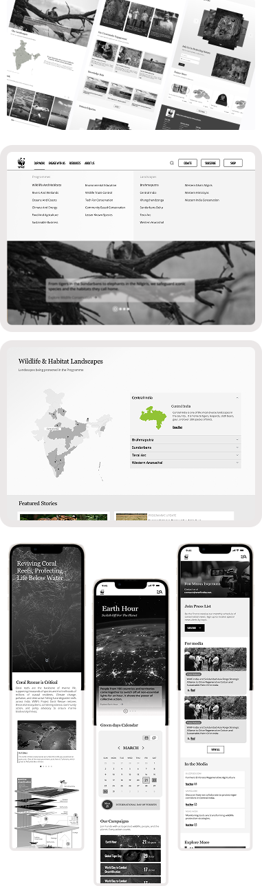 Visual Showcase Mobile