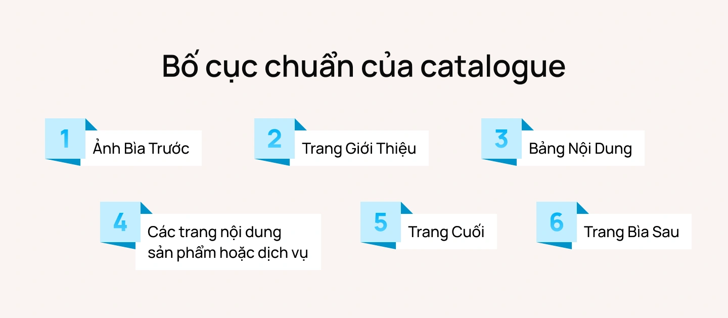 Bố Cục Catalogue Chuẩn Gồm Những Gì