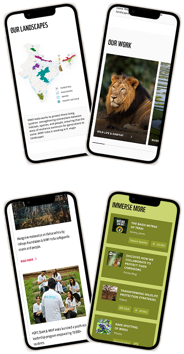 mobile responsive Mobile