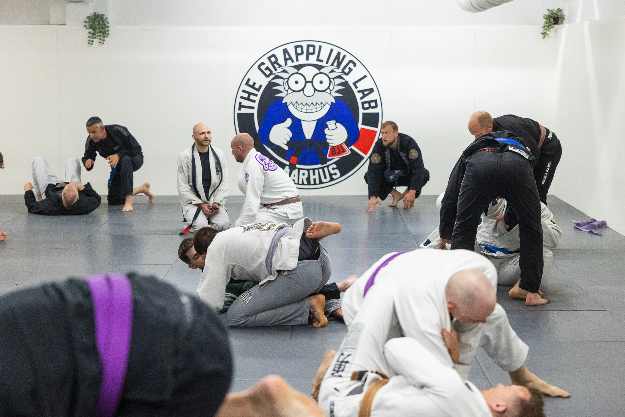 Open Mat