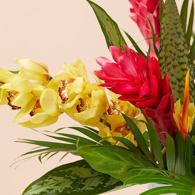 Image of default-432ddf92-f411-4e31-a880-64a49d472018