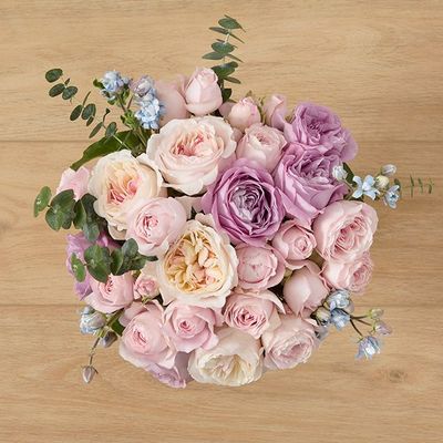 Image of default-53f8a567-7ca8-4397-b0cf-06aa6ad4e762