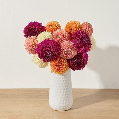 Image of default-5aa9ae59-9ecd-4026-9df2-93e7cc2ffcdf