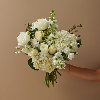 Image of default-ca17313d-bfaa-43f2-9420-d2a44a170f9f