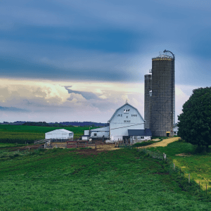 Image for Farmer's insurance service