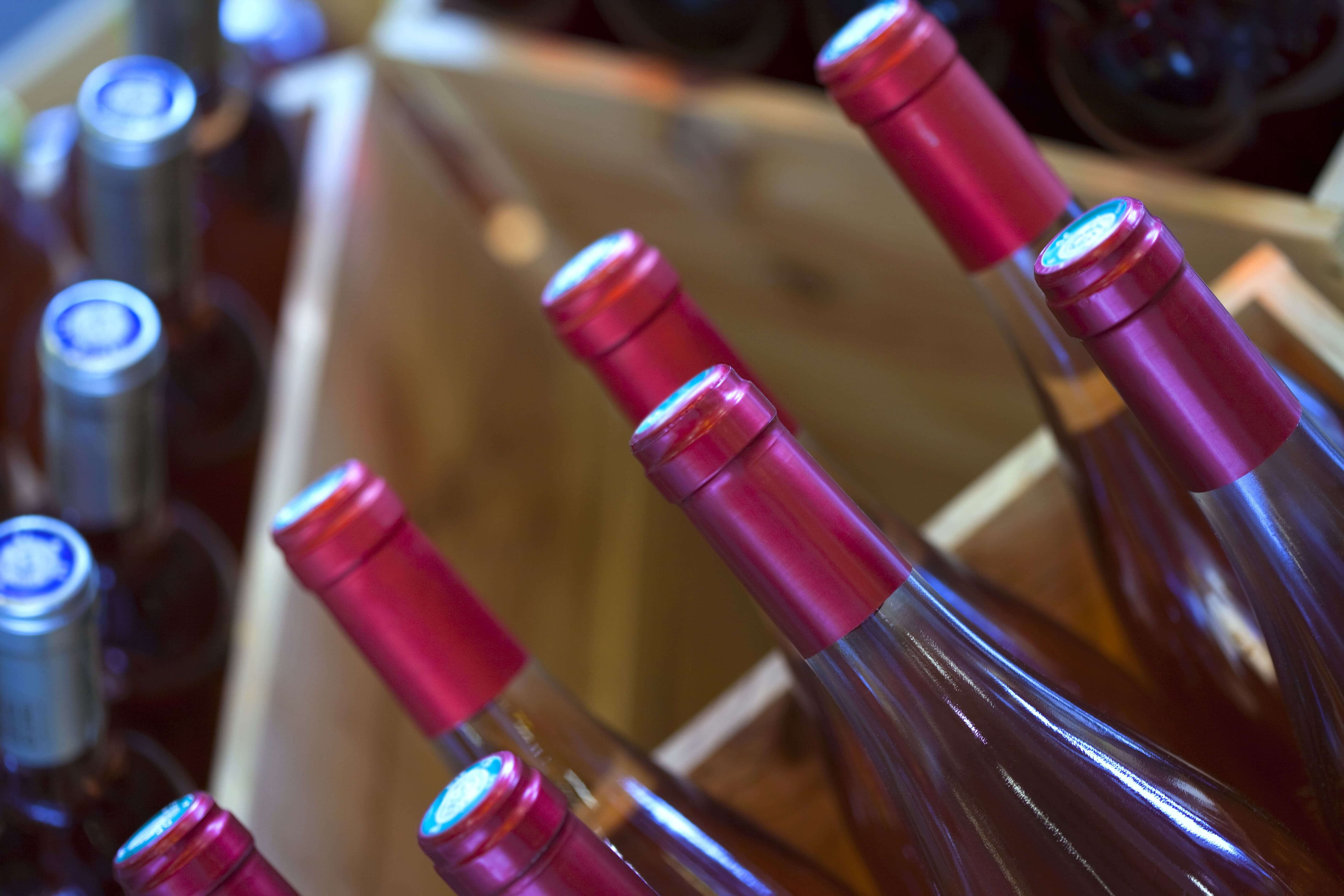 Wine Tasting