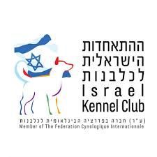 לוגו לקוח
