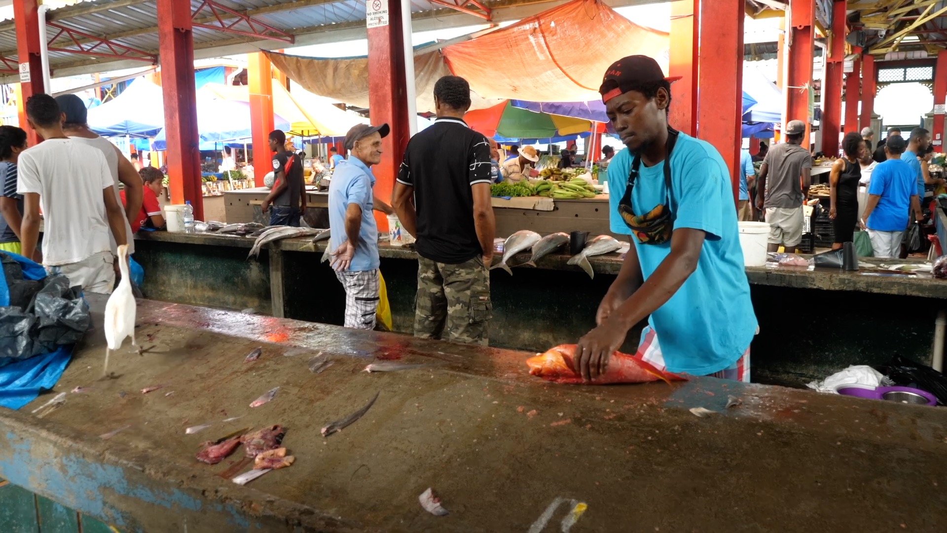 Ceychelles, Mahe Island, Traditional fish market