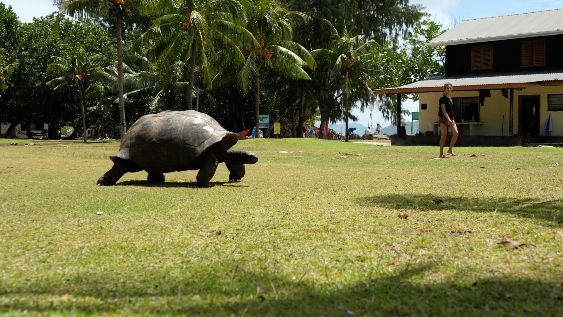 Ceychelles, Turtles reservation