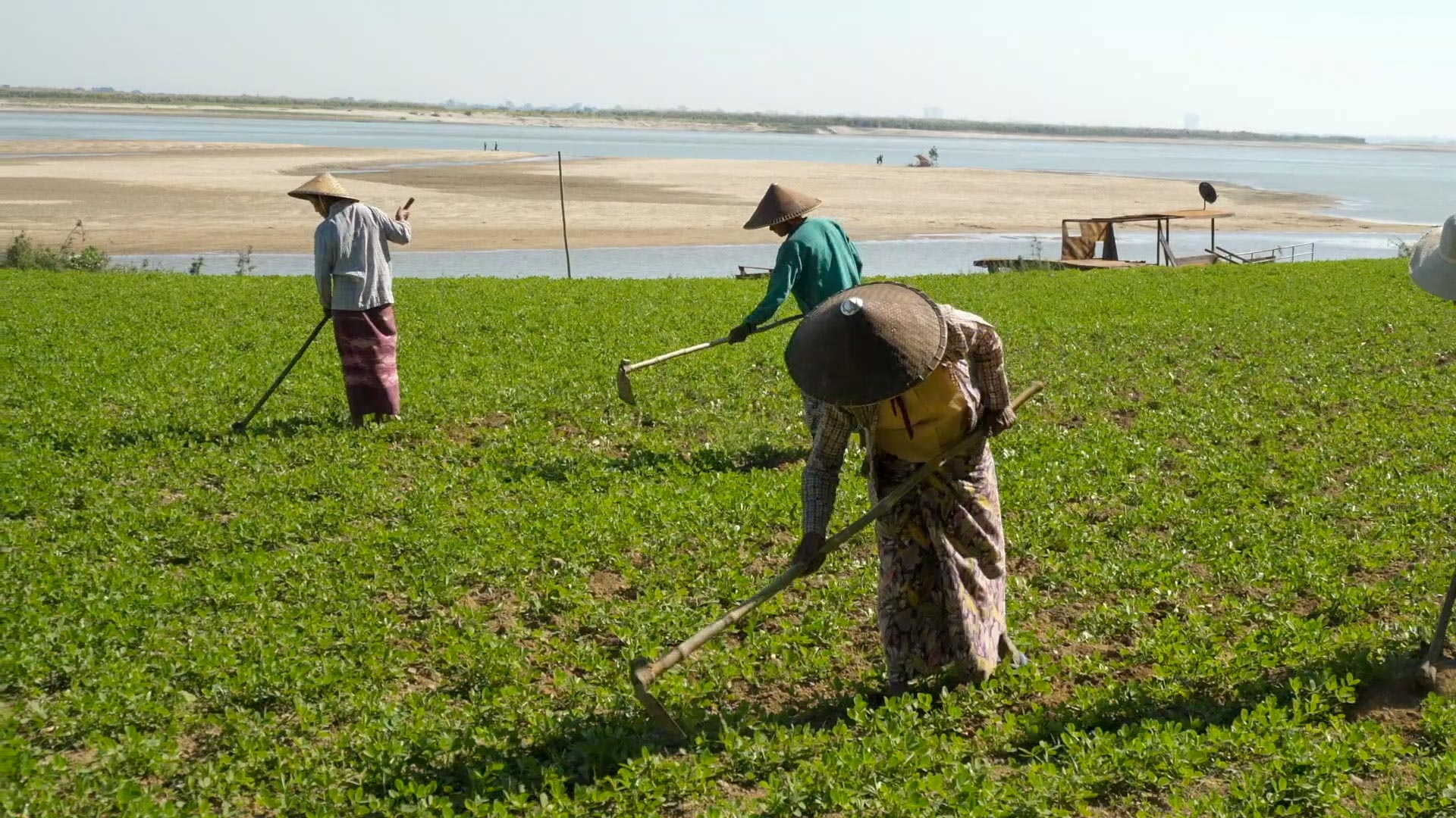 Traditional Agriculture