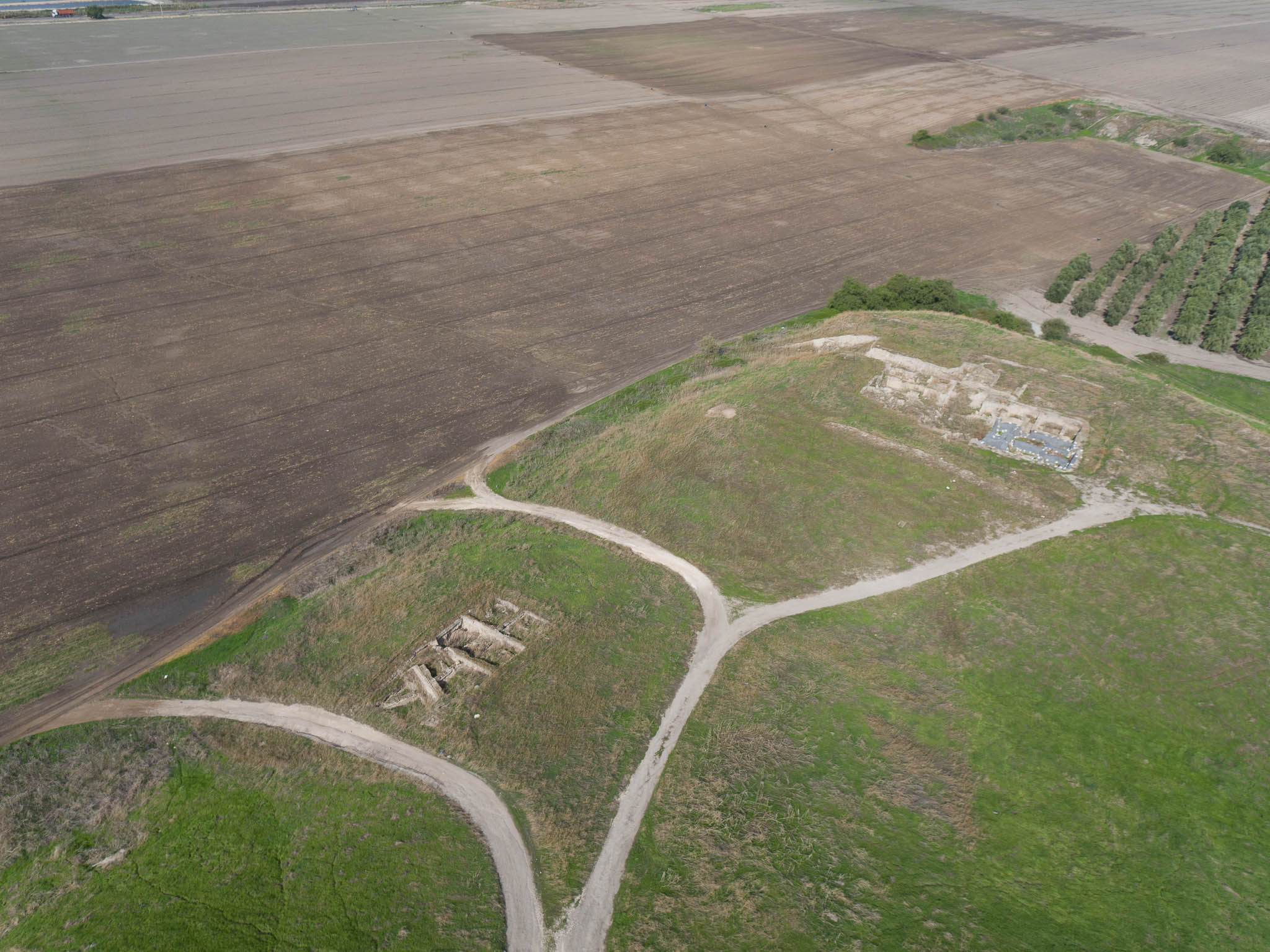 Israel, Tel Rehov