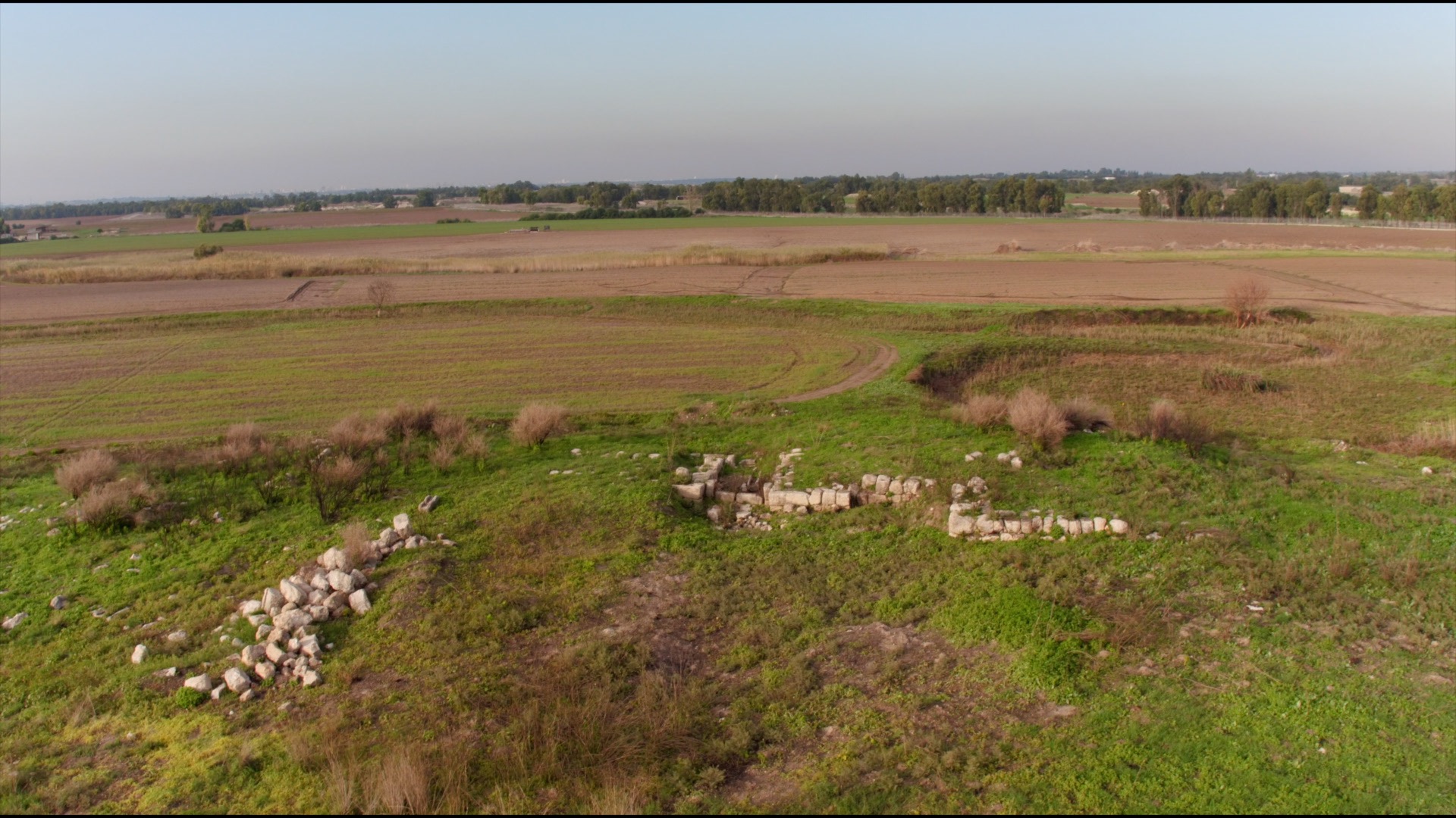 Israel, Tel Miqne (Ekron)