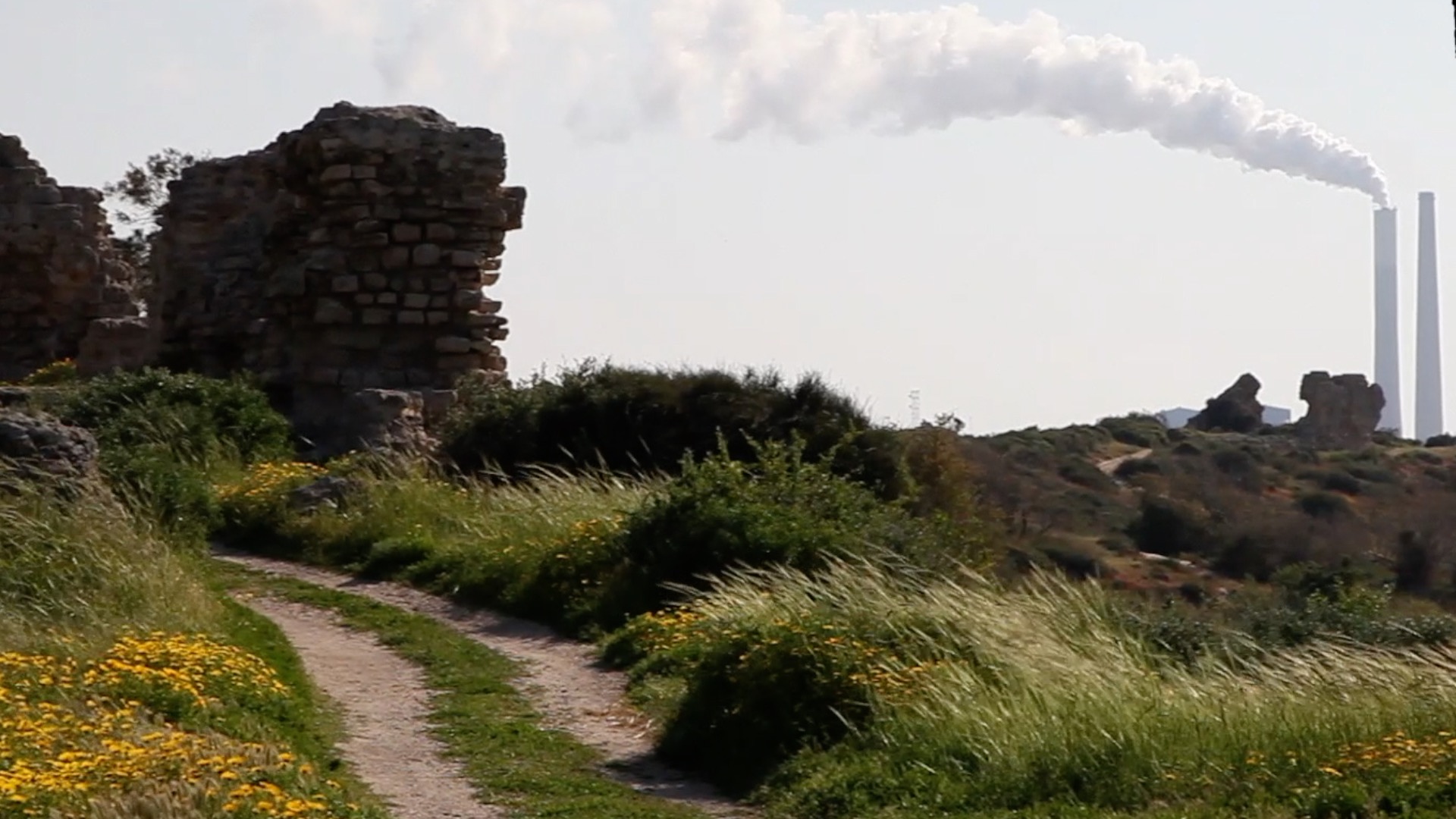 Israel, Ascalon Crusader Site
