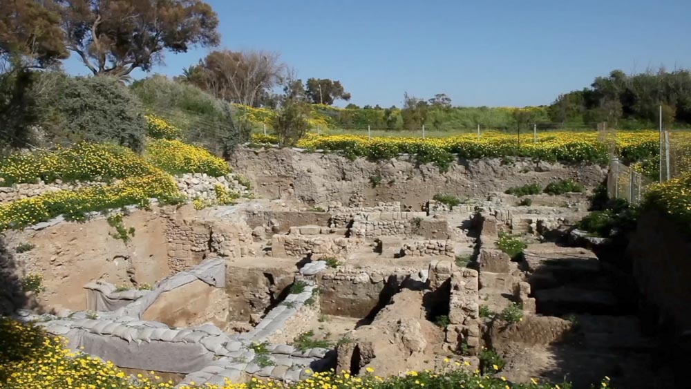 Israel, Ascalon (Ashkelon) - Excavation Area