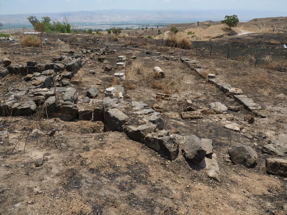 Israel, Beit She'an Ancient  Synagogue