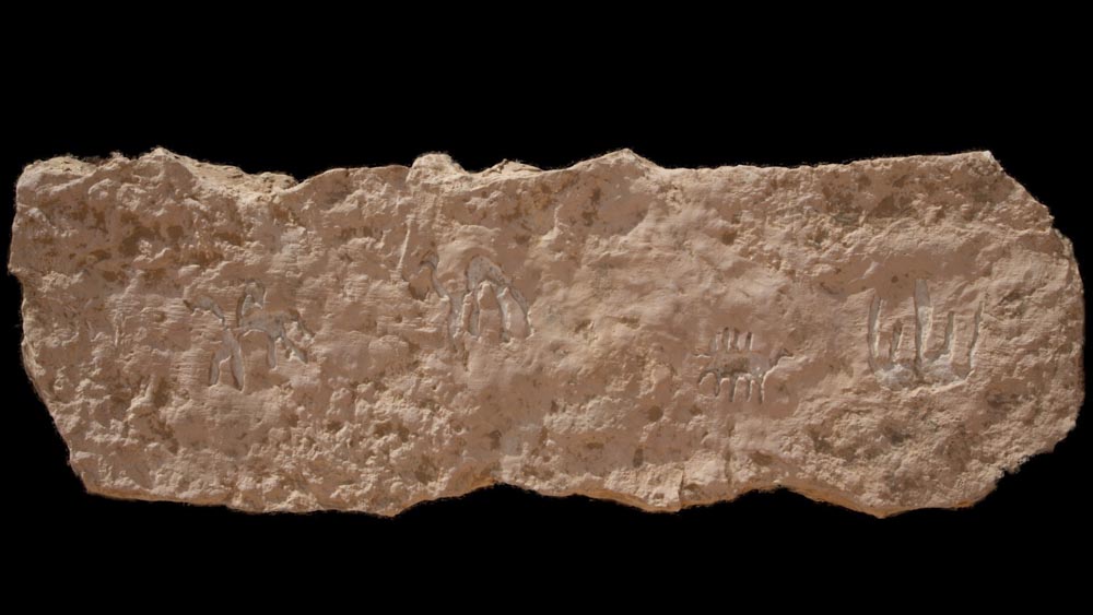 Israel, Timna Valley - Rock Engraving - Merchantship in Anchorage