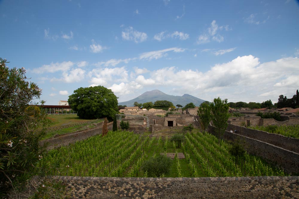 Italy, Pompeii, Gardens with the Mount Vesuvius in the background