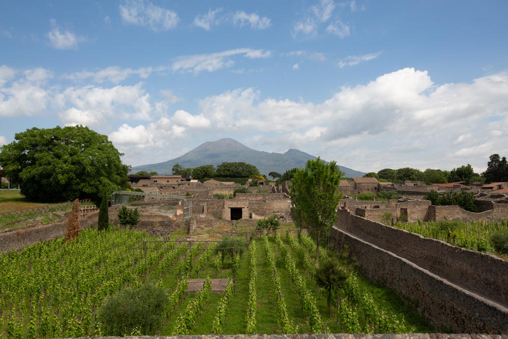 Italy, Pompeii, view of Roman houses with gardens