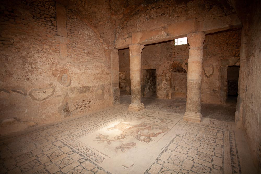 Tunisia, Bulla Regia -  House of Amphitrite