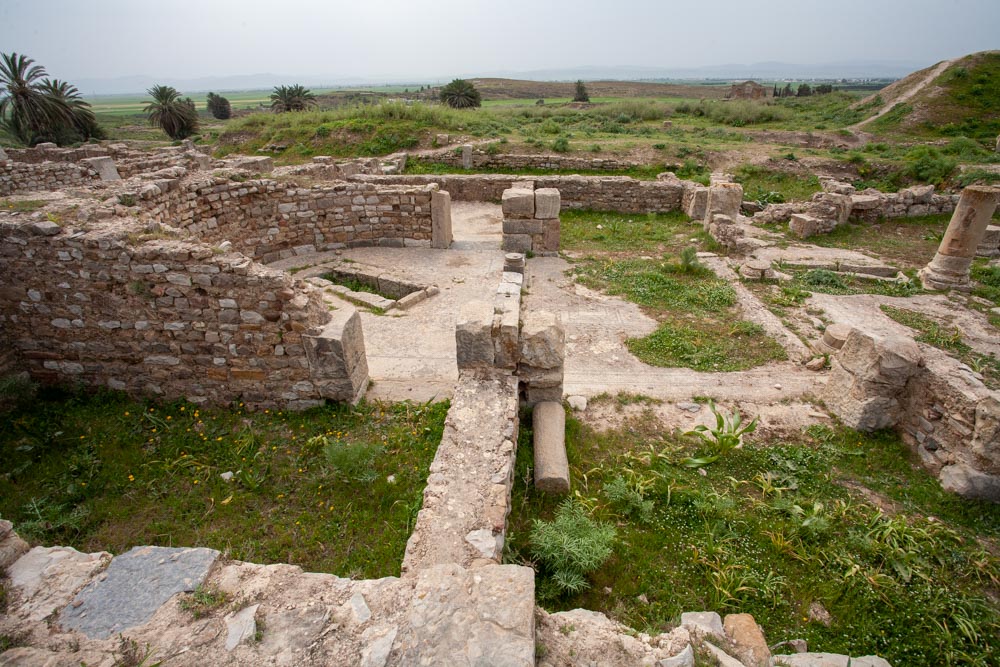 Tunisia, Bulla Regia -  House