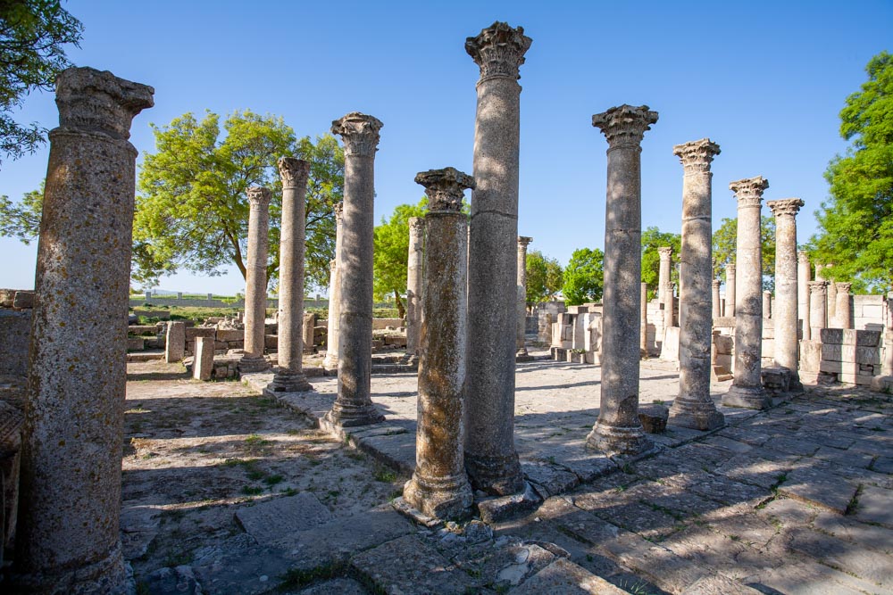 Tunisia, Makthar (Mactaris) - Schola of Juvenes