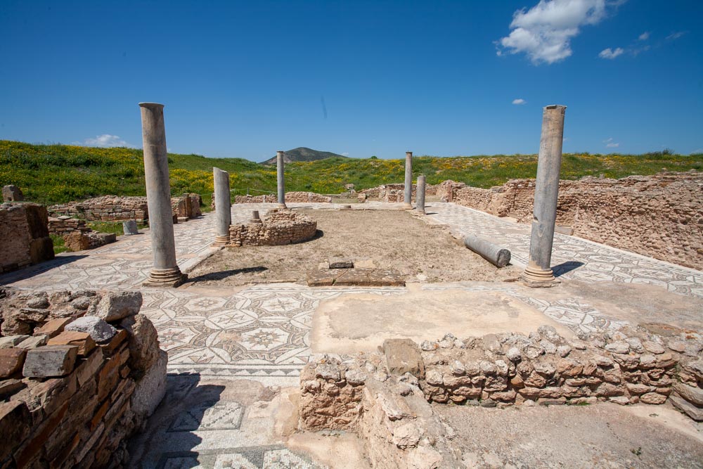 Tunisia, Thuburbo Majus -  House of Neptune