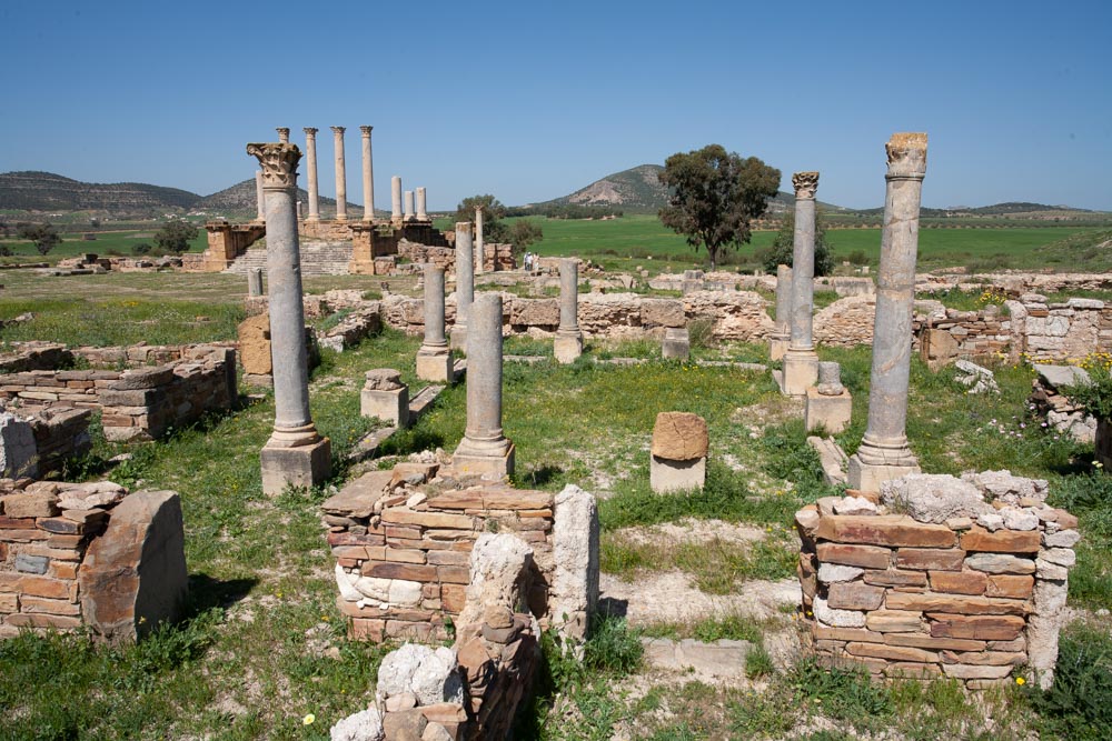 Tunisia, Thuburbo Majus - House of the Bacchus and Ariadne