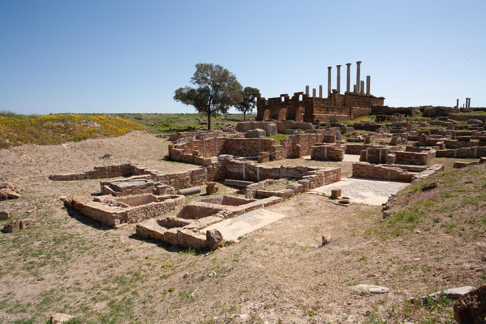 Tunisia, Thuburbo Majus - House of the Dressed Animals