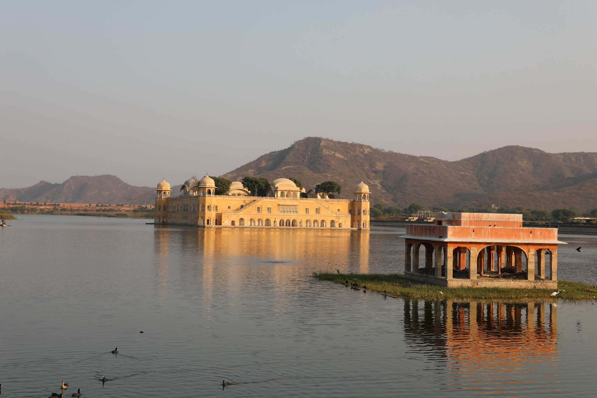 India, Rajasthan, Jaipur, Jal Mahal (Water Palace)