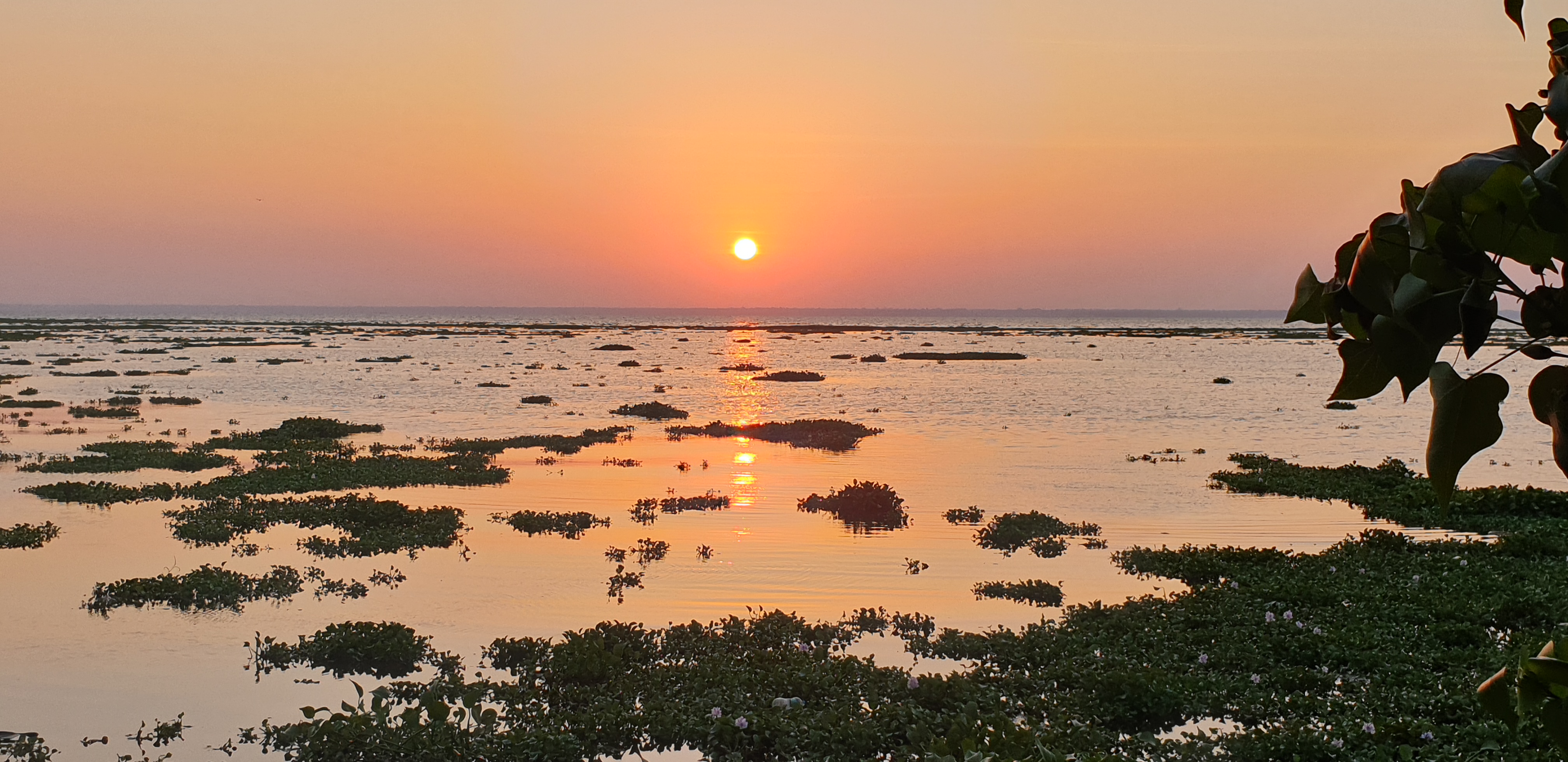Kerala