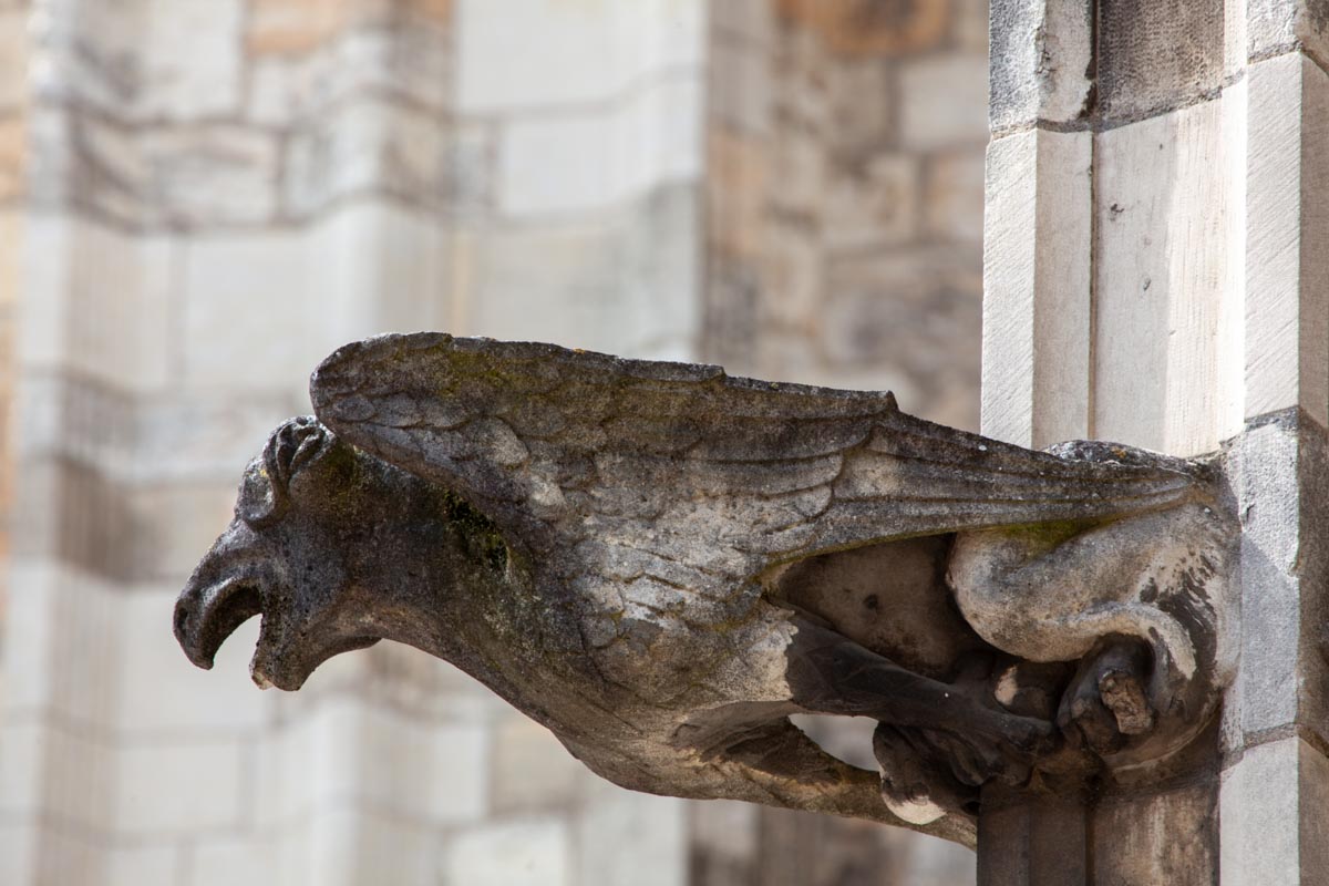 Gargoyles