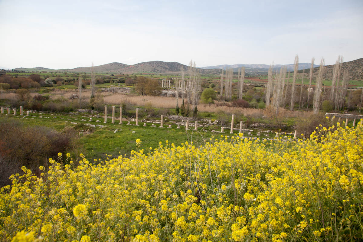 Turkey, Aydin, Aphrodisias - Agora (South)