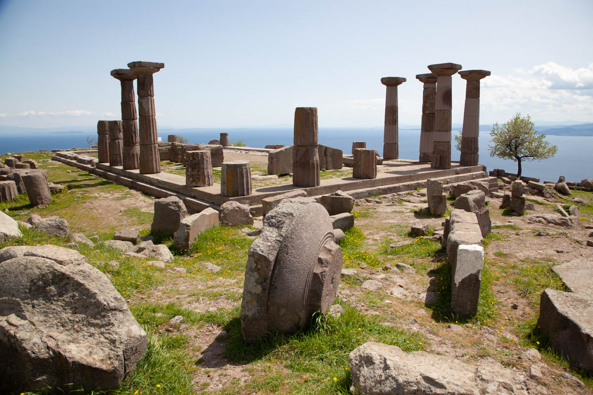 Assos