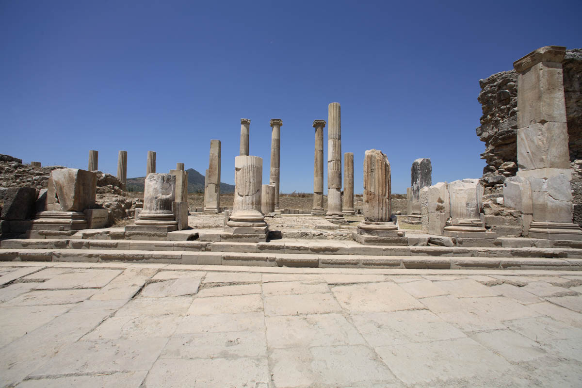 Turkey, Aydin, Magnesia on the Meander - Propylon