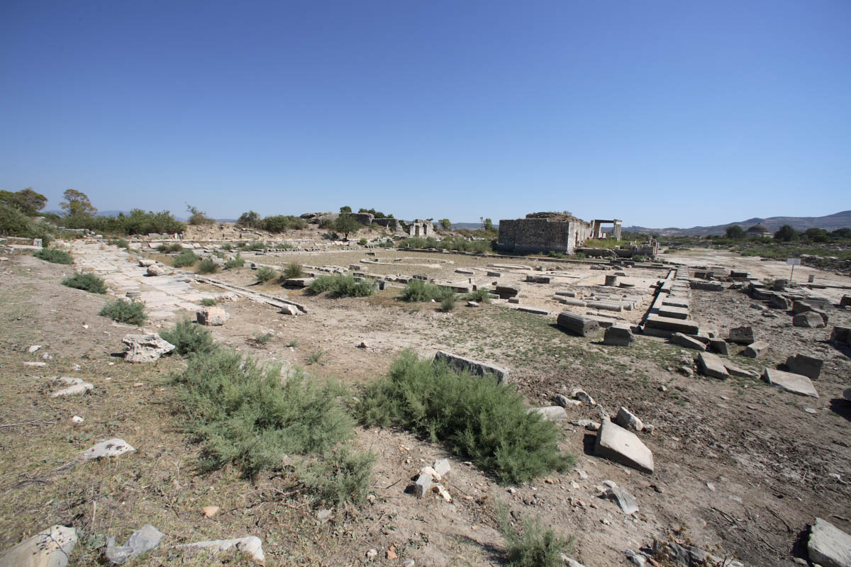 Turkey, Aydin, Miletus - Sanctuary of Apollo (Deplhinion)