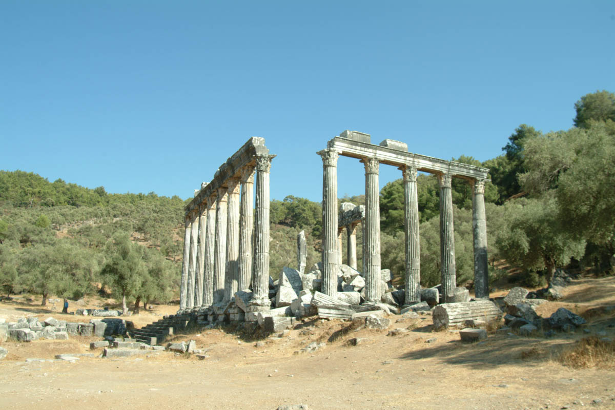 Turkey, Mugla, Euromos, Temple of Zeus Lepsinos