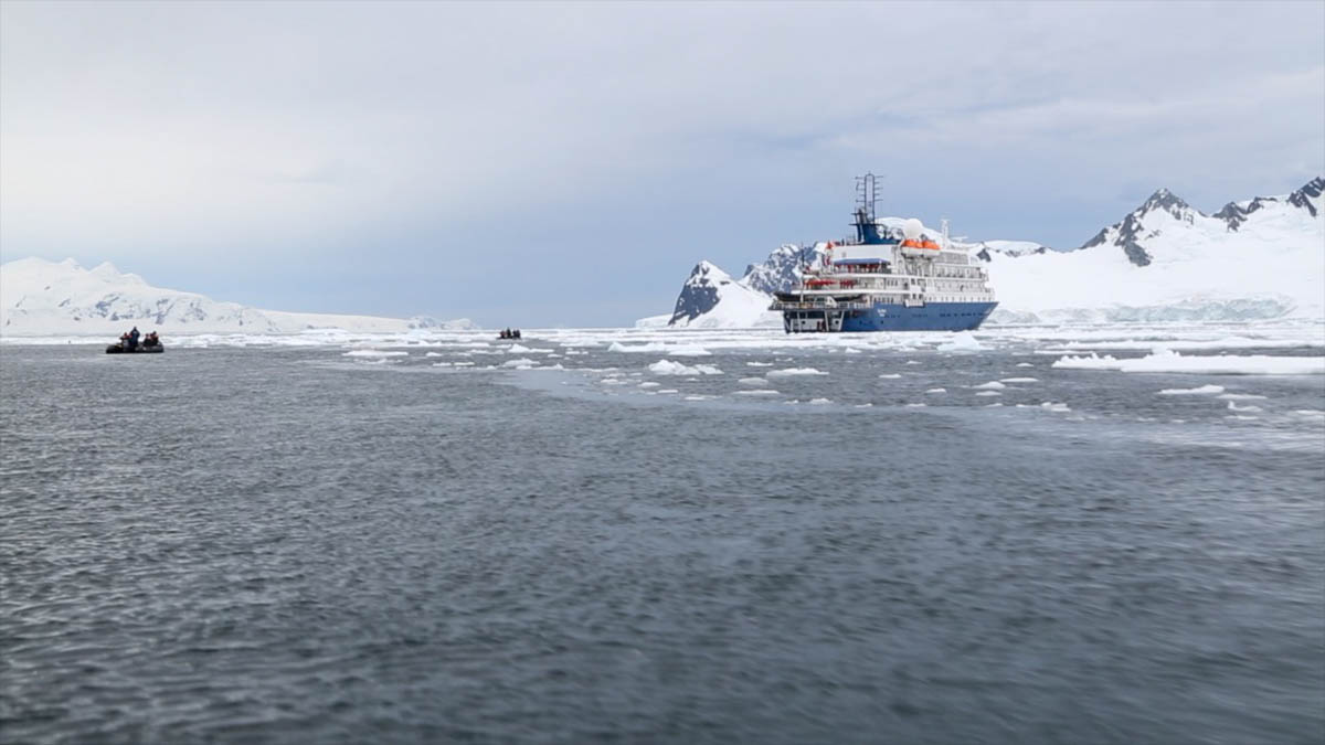 Antarctica, Antarctic Peninsula, Cuverville Island