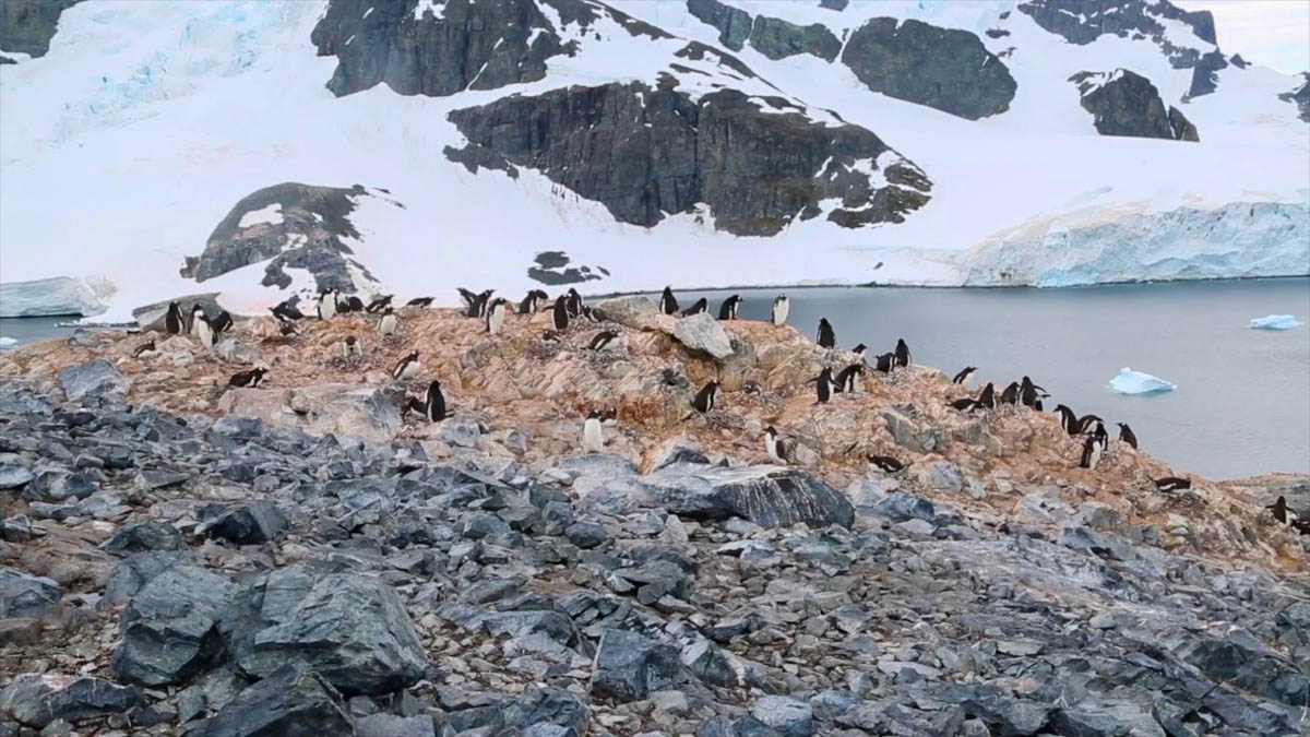 Antarctica, Antarctic Peninsula, Gonzales Videla Base