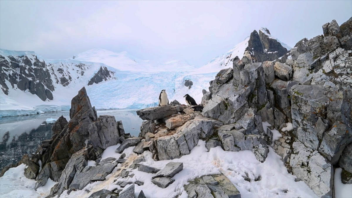 Antarctica, Antarctic peninsula, Orne Harbour