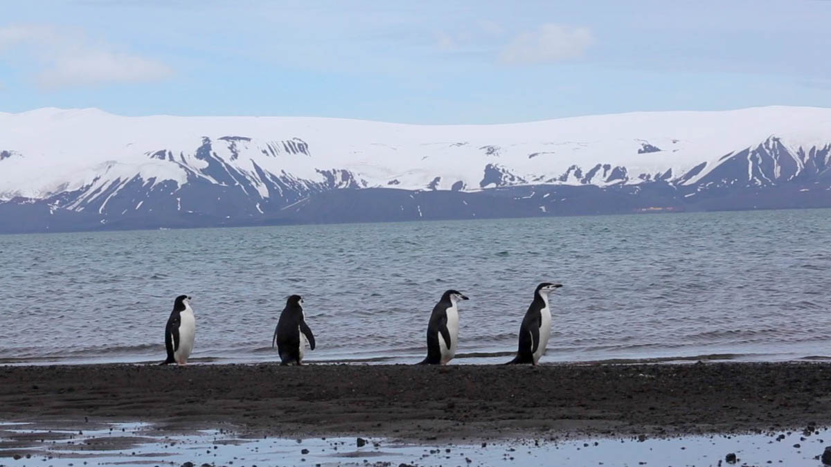 Antarctica, Antarctic Peninsula