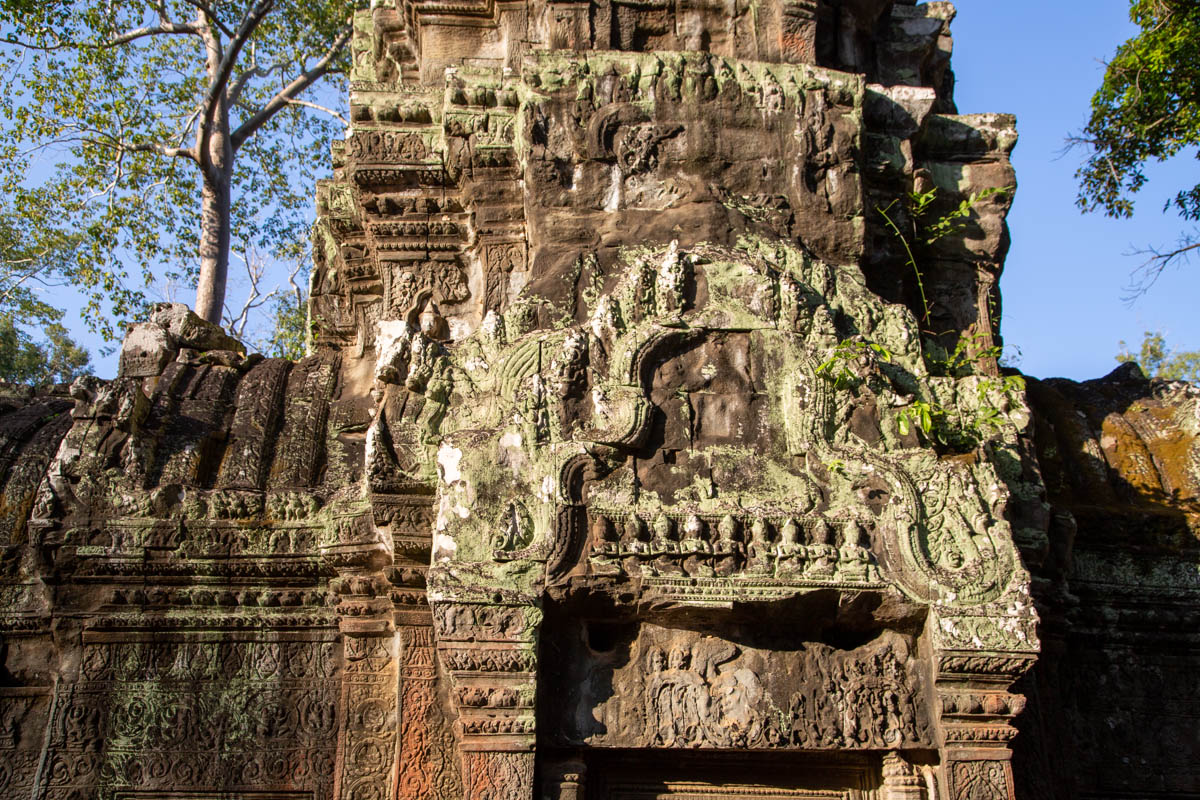 Cambodia, Angkor Wat Ta Prohm - reliefs ׂ
