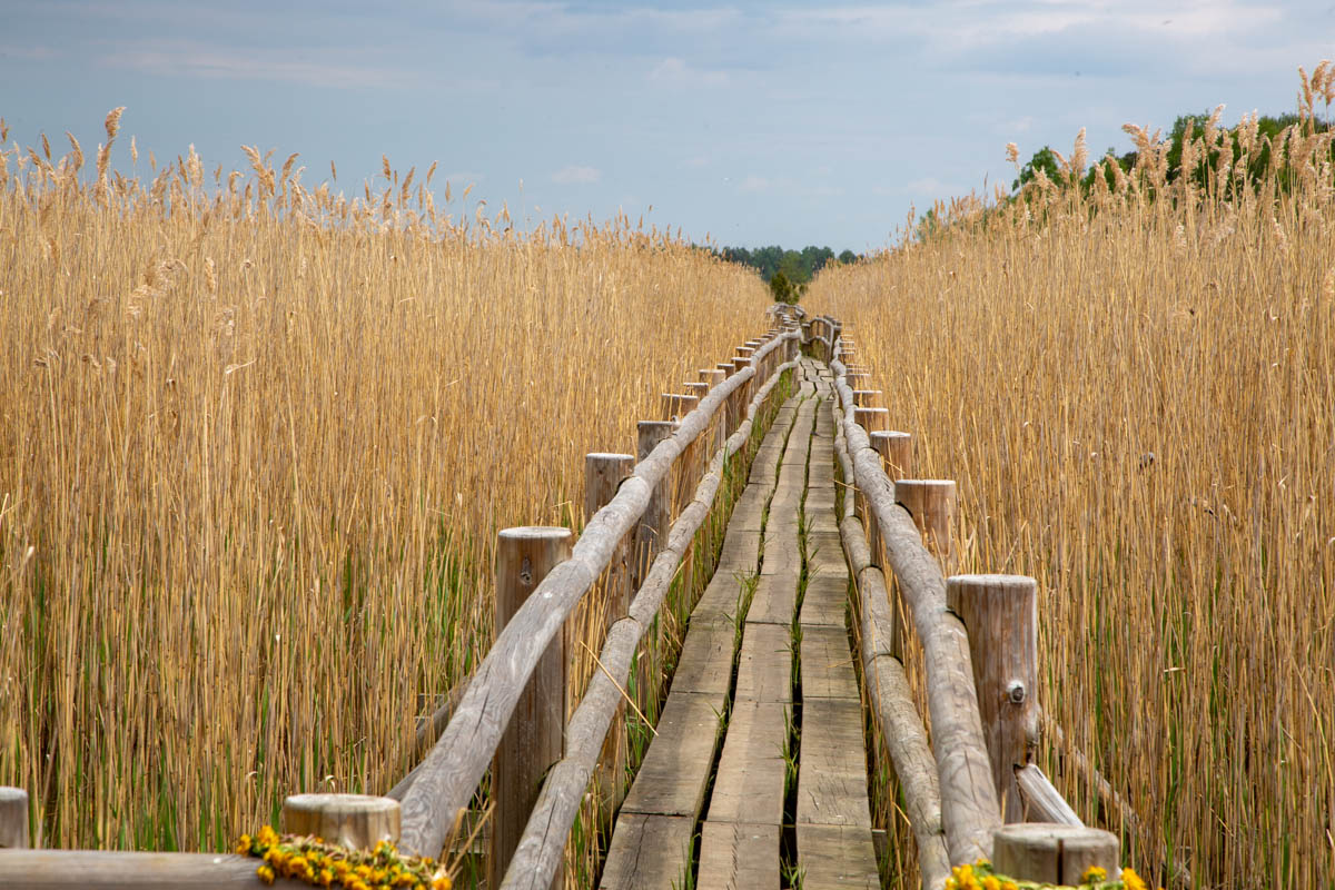 Latvia, Kemeri National Park