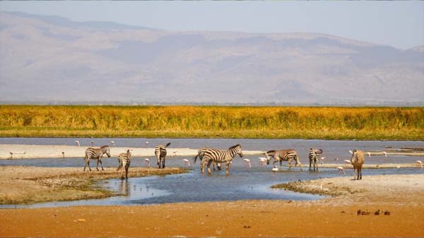 Tanzania