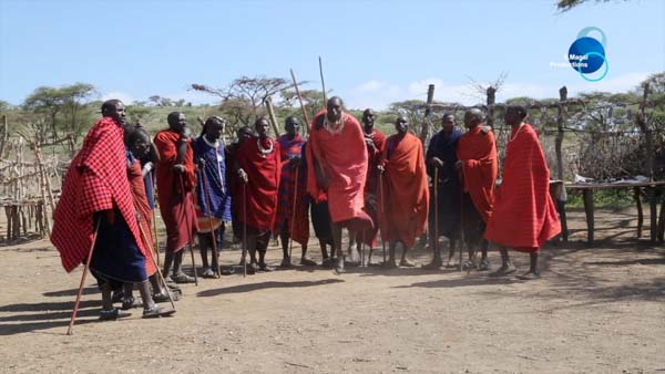 Traditional Tribes