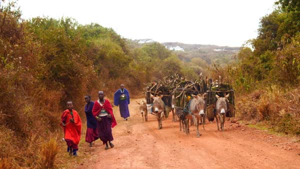 Tanzania, Traditional -farmers