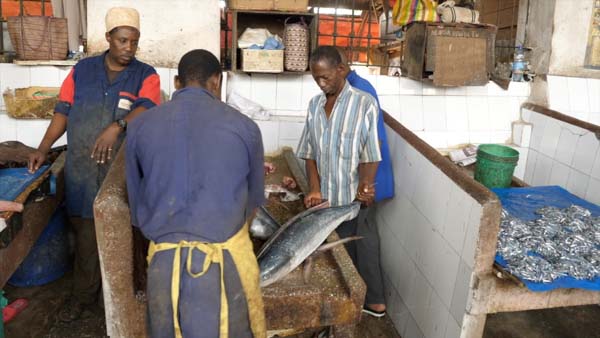 Tanzania, Traditional -Fish Market